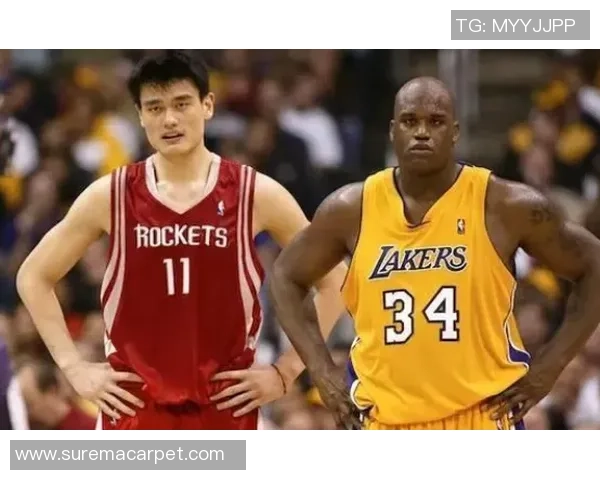 姚明在篮球巅峰背后的孤独与坚持之路探寻