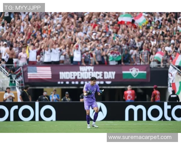 意甲焦点战:皇马小胜本菲卡全场沸腾赛后分析引热议